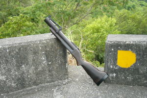 CAW M79